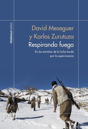 RESPIRANDO FUEGO | 9788499428017 | MESEGUER, DAVID/ZURUTUZA, KARLOS | Galatea Llibres | Llibreria online de Reus, Tarragona | Comprar llibres en català i castellà online