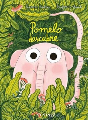 POMELO DESCUBRE | 9788417074531 | BÂDESCU, RAMONA | Galatea Llibres | Llibreria online de Reus, Tarragona | Comprar llibres en català i castellà online