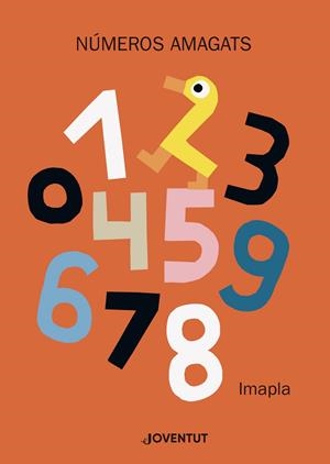 NUMEROS AMAGATS | 9788426145741 | IMAPLA | Galatea Llibres | Llibreria online de Reus, Tarragona | Comprar llibres en català i castellà online