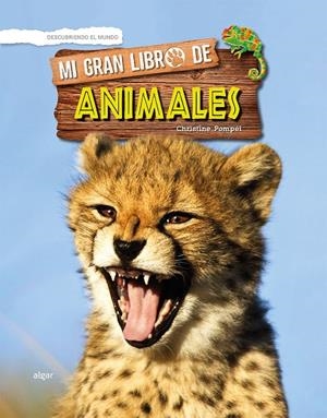 MI GRAN LIBRO DE ANIMALES | 9788491422761 | POMPÉÏ, CHRISTINE | Galatea Llibres | Llibreria online de Reus, Tarragona | Comprar llibres en català i castellà online