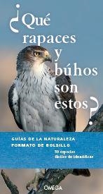 QUE RAPACES Y BUHOS SON ESTOS? | 9788428217095 | DIERSCHKE, VOLKER | Galatea Llibres | Librería online de Reus, Tarragona | Comprar libros en catalán y castellano online