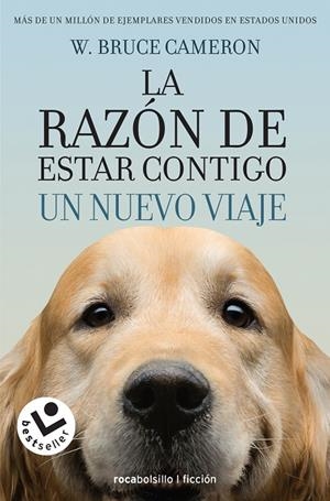 TU MEJOR AMIGO. UN NUEVO VIAJE | 9788416240999 | CAMERON, W. BRUCE | Galatea Llibres | Llibreria online de Reus, Tarragona | Comprar llibres en català i castellà online