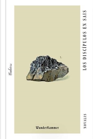 LOS DISCÍPULOS EN SAIS | 9788494972515 | NOVALIS | Galatea Llibres | Librería online de Reus, Tarragona | Comprar libros en catalán y castellano online