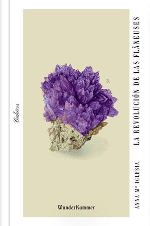 LA REVOLUCIÓN DE LAS FLÂNEUSES | 9788494972539 | IGLESIA, ANNA Mª | Galatea Llibres | Librería online de Reus, Tarragona | Comprar libros en catalán y castellano online
