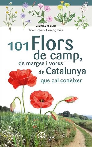 101 FLORS DE CAMP, DE MARGES I VORES DE CATALUNYA | 9788490348413 | LLOBET FRANÇOIS , TONI/SÀEZ GOÑALONS , LLORENÇ | Galatea Llibres | Librería online de Reus, Tarragona | Comprar libros en catalán y castellano online