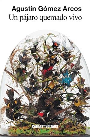 UN PÁJARO QUEMADO VIVO | 9788494941443 | GÓMEZ ARCOS, AGUSTÍN | Galatea Llibres | Llibreria online de Reus, Tarragona | Comprar llibres en català i castellà online