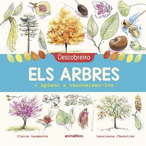 DESCOBREIXO ELS ARBRES I APRENC A RECONÈIXER-LOS | 9788417599195 | LECOEUVRE, CLAIRE | Galatea Llibres | Librería online de Reus, Tarragona | Comprar libros en catalán y castellano online