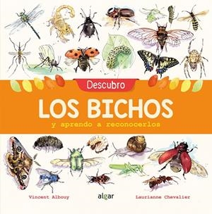 DESCUBRO LOS BICHOS Y APRENDO A RECONOCERLOS | 9788491422969 | ALBOUY, VINCENT | Galatea Llibres | Llibreria online de Reus, Tarragona | Comprar llibres en català i castellà online