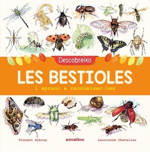 DESCOBREIXO LES BESTIOLES I APRENC A RECONÈIXER-LES | 9788417599201 | ALBOUY, VINCENT | Galatea Llibres | Librería online de Reus, Tarragona | Comprar libros en catalán y castellano online