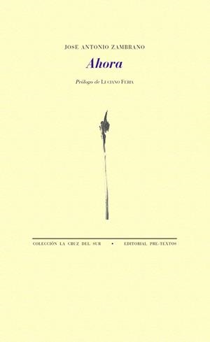 AHORA | 9788417830175 | ZAMBRANO, JOSÉ ANTONIO | Galatea Llibres | Librería online de Reus, Tarragona | Comprar libros en catalán y castellano online