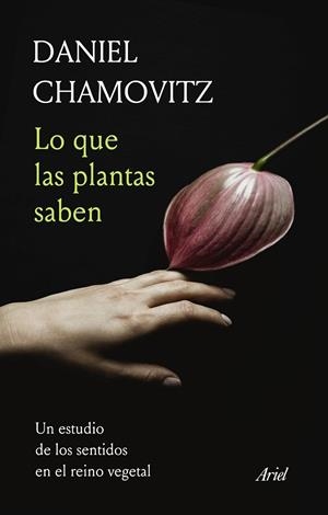 LO QUE LAS PLANTAS SABEN | 9788434431058 | CHAMOVITZ, DANIEL | Galatea Llibres | Llibreria online de Reus, Tarragona | Comprar llibres en català i castellà online