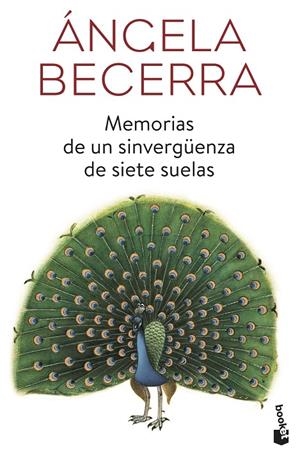 MEMORIAS DE UN SINVERGÜENZA DE SIETE SUELAS | 9788408184034 | BECERRA, ÁNGELA | Galatea Llibres | Llibreria online de Reus, Tarragona | Comprar llibres en català i castellà online