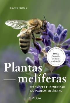 PLANTAS MELIFERAS | 9788428217187 | PRITSCH, GÜNTER | Galatea Llibres | Librería online de Reus, Tarragona | Comprar libros en catalán y castellano online