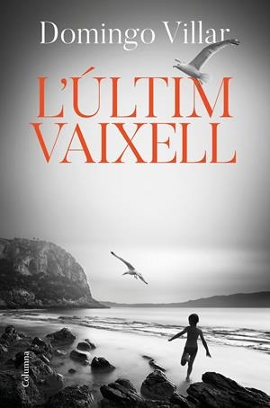 L'ÚLTIM VAIXELL | 9788466425490 | VILLAR, DOMINGO | Galatea Llibres | Llibreria online de Reus, Tarragona | Comprar llibres en català i castellà online