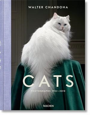 CATS. PHOTOGRAPHS 1942–2018 | 9783836573856 | CHANDOHA, WALTER | Galatea Llibres | Librería online de Reus, Tarragona | Comprar libros en catalán y castellano online