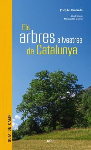 ELS ARBRES  SILVESTRES DE CATALUNYA | 9788415885856 | PANAREDA CLOPÉS, JOSEP M | Galatea Llibres | Llibreria online de Reus, Tarragona | Comprar llibres en català i castellà online