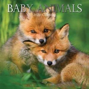 CALENDARIO BABY ANIMALS 2020 | 9781789780697 | AA.VV | Galatea Llibres | Llibreria online de Reus, Tarragona | Comprar llibres en català i castellà online