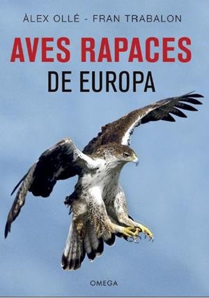 AVES RAPACES DE EUROPA | 9788428216975 | OLLE, ALEX / TRABALON, FRAN | Galatea Llibres | Librería online de Reus, Tarragona | Comprar libros en catalán y castellano online