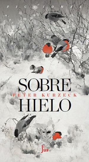 SOBRE HIELO | 9788417893941 | KURZECK, PETER | Galatea Llibres | Llibreria online de Reus, Tarragona | Comprar llibres en català i castellà online
