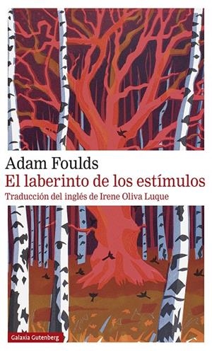 EL LABERINTO DE LOS ESTÍMULOS | 9788417747305 | FOULDS, ADAM | Galatea Llibres | Llibreria online de Reus, Tarragona | Comprar llibres en català i castellà online