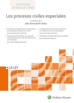 LOS PROCESOS CIVILES ESPECIALES | 9788490207970 | BANACLOCHE PALAO, JULIO | Galatea Llibres | Llibreria online de Reus, Tarragona | Comprar llibres en català i castellà online