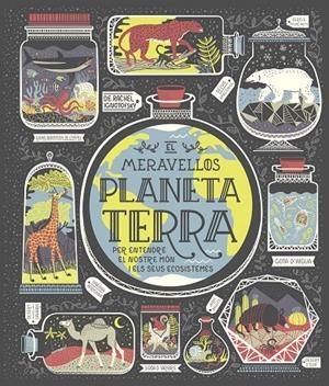 EL MERAVELLÓS PLANETA TERRA | 9788491378778 | IGNOTOFSKY, RACHEL | Galatea Llibres | Librería online de Reus, Tarragona | Comprar libros en catalán y castellano online