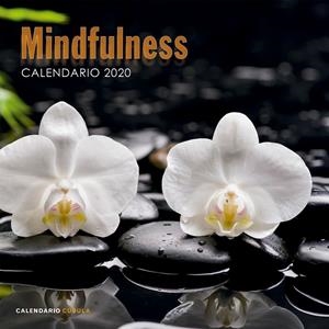CALENDARIO MINDFULNESS 2020 | 9788448026110 | AA. VV. | Galatea Llibres | Librería online de Reus, Tarragona | Comprar libros en catalán y castellano online