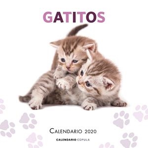 CALENDARIO GATITOS 2020 | 9788448026165 | AA. VV. | Galatea Llibres | Librería online de Reus, Tarragona | Comprar libros en catalán y castellano online