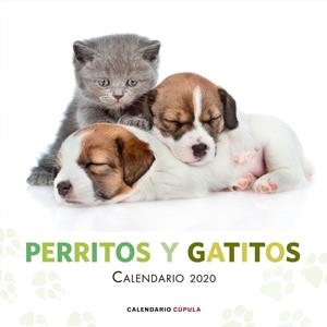 CALENDARIO PERRITOS Y GATITOS 2020 | 9788448026172 | AA. VV. | Galatea Llibres | Librería online de Reus, Tarragona | Comprar libros en catalán y castellano online