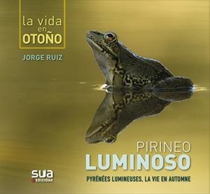 PIRINEO LUMINOSO. LA VIDA EN OTOÑO | 9788482167312 | RUIZ, JORGE | Galatea Llibres | Llibreria online de Reus, Tarragona | Comprar llibres en català i castellà online