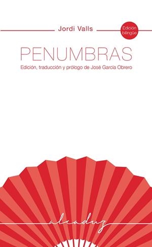 PENUMBRAS | 9788412068436 | VALLS POZO, JORDI | Galatea Llibres | Librería online de Reus, Tarragona | Comprar libros en catalán y castellano online