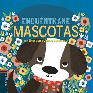MASCOTAS | 9788414023310 | MARSHALL, NATALIE | Galatea Llibres | Llibreria online de Reus, Tarragona | Comprar llibres en català i castellà online