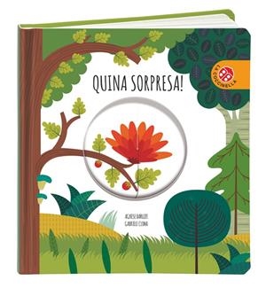 QUINA SORPRESA! | 9788868909086 | CLIMA, GABRIELE | Galatea Llibres | Llibreria online de Reus, Tarragona | Comprar llibres en català i castellà online