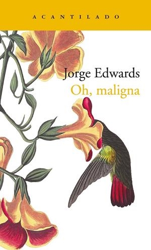 OH, MALIGNA | 9788417902070 | EDWARDS, JORGE | Galatea Llibres | Librería online de Reus, Tarragona | Comprar libros en catalán y castellano online