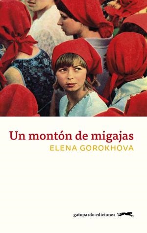 UN MONTÓN DE MIGAJAS | 9788417109738 | GOROKHOVA, ELENA | Galatea Llibres | Librería online de Reus, Tarragona | Comprar libros en catalán y castellano online