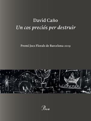UN COS PRECIÓS PER DESTRUIR | 9788475887999 | CAÑO, DAVID | Galatea Llibres | Librería online de Reus, Tarragona | Comprar libros en catalán y castellano online