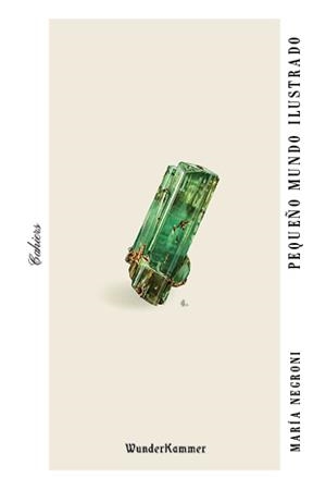 PEQUEÑO MUNDO ILUSTRADO | 9788494972560 | NEGRONI, MARÍA | Galatea Llibres | Librería online de Reus, Tarragona | Comprar libros en catalán y castellano online