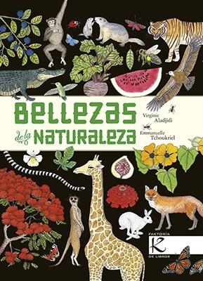 BELLEZAS DE LA NATURALEZA | 9788416721474 | ALADJIDI, VIRGINIE | Galatea Llibres | Llibreria online de Reus, Tarragona | Comprar llibres en català i castellà online