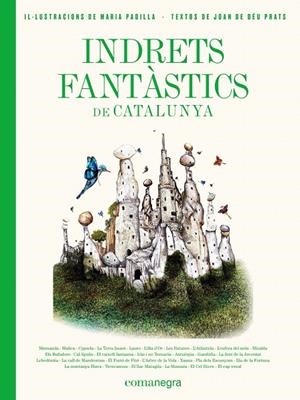 INDRETS FANTÀSTICS DE CATALUNYA | 9788417188986 | PRATS PIJOAN, JOAN DE DÉU/PADILLA CLIMENT, MARIA | Galatea Llibres | Llibreria online de Reus, Tarragona | Comprar llibres en català i castellà online
