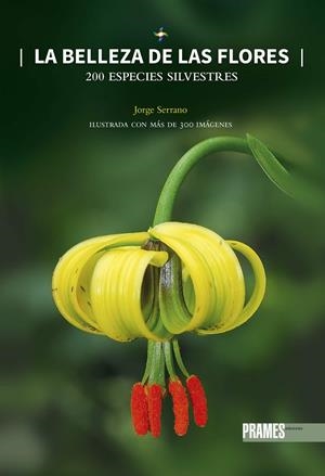LA BELLEZA DE LAS FLORES | 9788483219096 | SERRANO, JORGE | Galatea Llibres | Llibreria online de Reus, Tarragona | Comprar llibres en català i castellà online