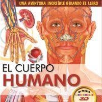 EL CUERPO HUMANO | 9788494671036 | EQUIPO EDITORIAL | Galatea Llibres | Librería online de Reus, Tarragona | Comprar libros en catalán y castellano online