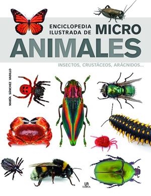 ENCICLOPEDIA ILUSTRADA DE MICRO ANIMALES | 9788466239011 | SÁNCHEZ VADILLO, MARÍA | Galatea Llibres | Llibreria online de Reus, Tarragona | Comprar llibres en català i castellà online