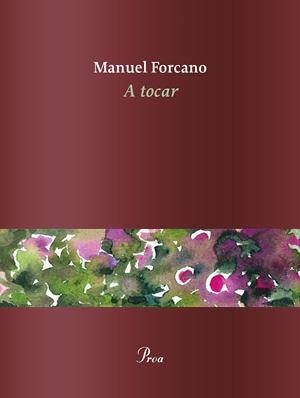 A TOCAR | 9788475888101 | FORCANO, MANUEL | Galatea Llibres | Llibreria online de Reus, Tarragona | Comprar llibres en català i castellà online