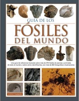 GUIA DE LOS FOSILES DEL MUNDO | 9788428217170 | PARKER,STEVE | Galatea Llibres | Librería online de Reus, Tarragona | Comprar libros en catalán y castellano online