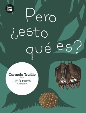 PERO ¿ESTO QUÉ ES? | 9788483435939 | FERNÁNDEZ TRUJILLO, CARMELA | Galatea Llibres | Llibreria online de Reus, Tarragona | Comprar llibres en català i castellà online