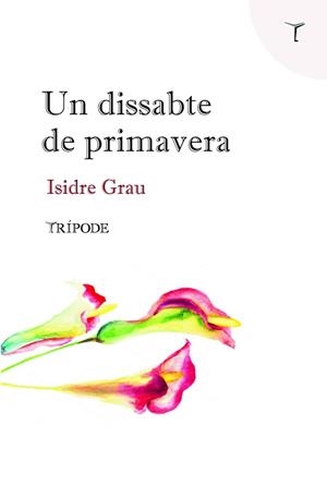 UN DISSABTE DE PRIMAVERA | 9788412065152 | GRAU ANTOLÍ, ISIDRE | Galatea Llibres | Librería online de Reus, Tarragona | Comprar libros en catalán y castellano online