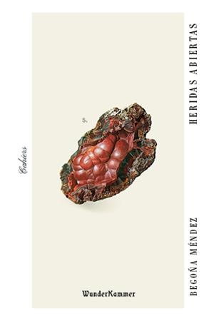 HERIDAS ABIERTAS | 9788494972591 | MÉNDEZ, BEGOÑA | Galatea Llibres | Librería online de Reus, Tarragona | Comprar libros en catalán y castellano online