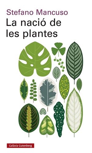 LA NACIÓ DE LES PLANTES | 9788417971564 | MANCUSO, STEFANO | Galatea Llibres | Llibreria online de Reus, Tarragona | Comprar llibres en català i castellà online