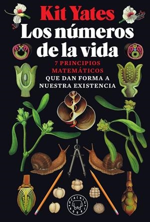 LOS NÚMEROS DE LA VIDA | 9788417552947 | YATES, KIT | Galatea Llibres | Librería online de Reus, Tarragona | Comprar libros en catalán y castellano online