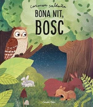BONA NIT, BOSC | 9788491379386 | SALDAÑA, CARMEN | Galatea Llibres | Librería online de Reus, Tarragona | Comprar libros en catalán y castellano online